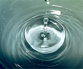 Wasserhaushalt